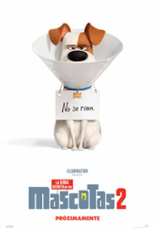 mascotas2.jpg