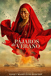 pajaros_holanda.jpg
