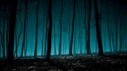 bosque.jpg