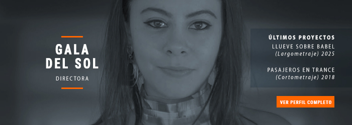 Perfil