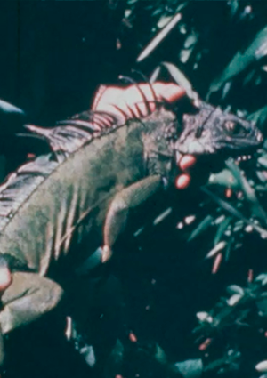 BIENVENIDOS CONQUISTADORES INTERPLANETARIOS Y DEL ESPACIO SIDERAL