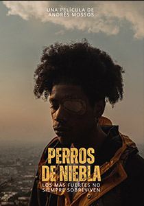 PERROS DE NIEBLA