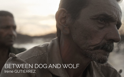 BETWEEN DOG AND WOLF