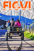 ficvi.jpg
