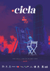 Festival-de-cine-latinoamericano-cicla-arte-y-conexion.jpg