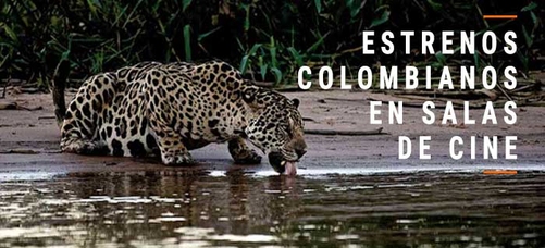 mmdd_es_fotografia_filename