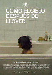 Afiche_Como el cielo despus de llover.png