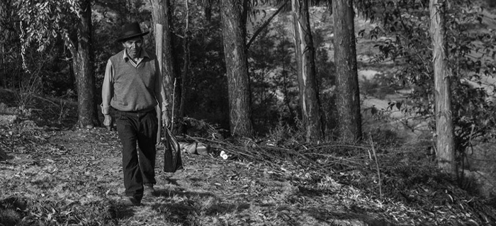 Encabezado_1_No titulo.png