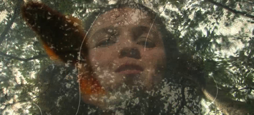 Notas1_En trnsito.png