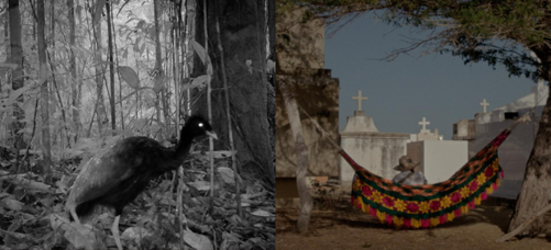 Notas secundarias_1184_2.png