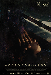 carropasajero.jpg
