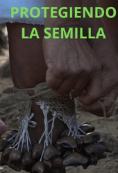 protegiendo a la semilla.jpg