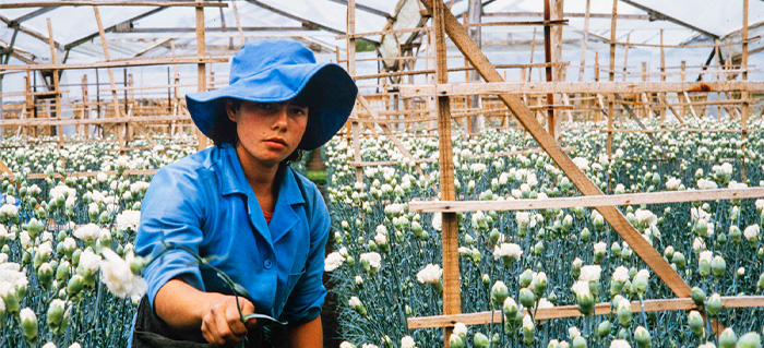 Nota Principal_Sin texto.jpg