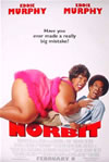 42_norbitpc293.jpg
