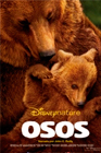 osos.jpg
