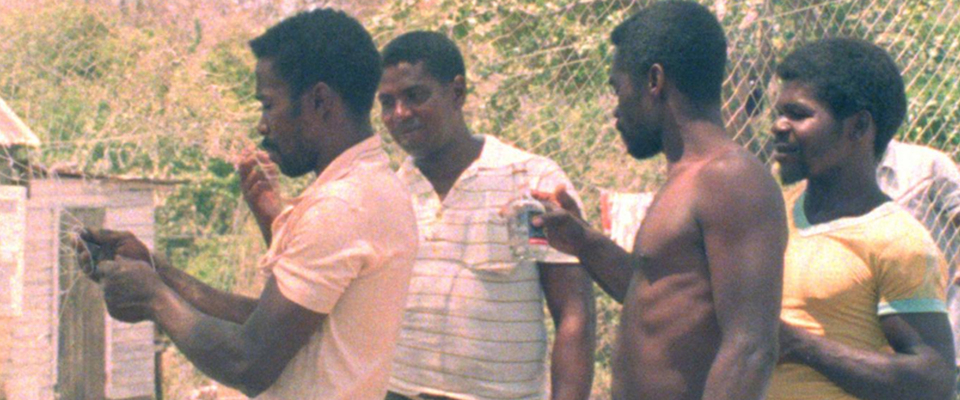 Banner web_02.jpg