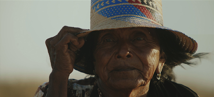 Banner-nota-1.jpg