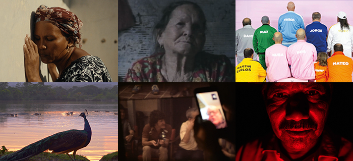 Principal1b_Col en Vision.png