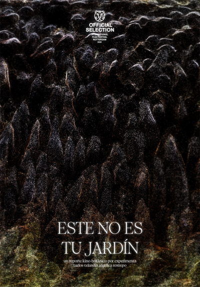 This is not your Garden