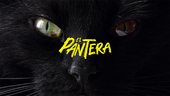 ELPANTERA_4.jpg