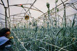 Copia de _A740016.jpg