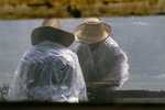 Copia de _A740007.jpg
