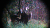 Stills_3_A_d__nde_van_los_p__jaros_cuando_llueve.jpg