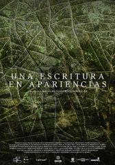 UNA ESCRITURA EN APARIENCIAS