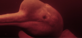 FOTO6.png