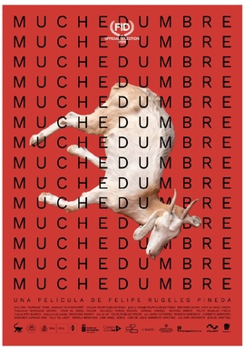 MUCHEDUMBRE