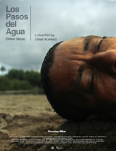 LOS PASOS DEL AGUA