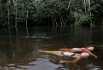 Imagen-Amazonas-3.jpg