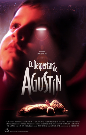 EL DESPERTAR DE AGUSTÍN