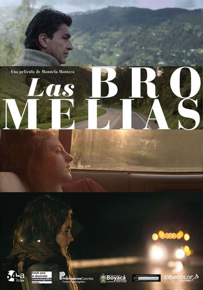 LAS BROMELIAS