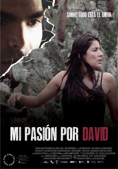 MI PASIÓN POR DAVID