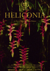 HELICONIA
