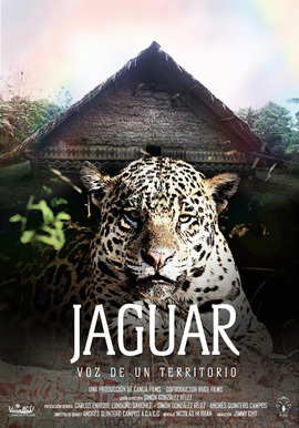 Jaguar voice of a territory