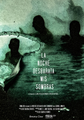 LA NOCHE DESBARATA MIS SOMBRAS