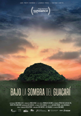 BAJO LA SOMBRA DEL GUACARÍ