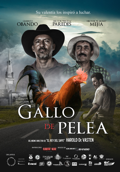 GALLO DE PELEA