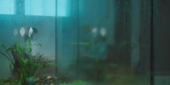 2_IMG_El sue�o.png
