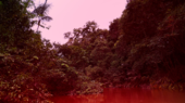 1_IMG_La Trampa.png