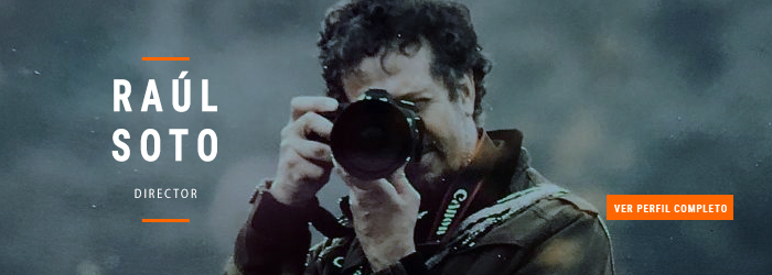 Director